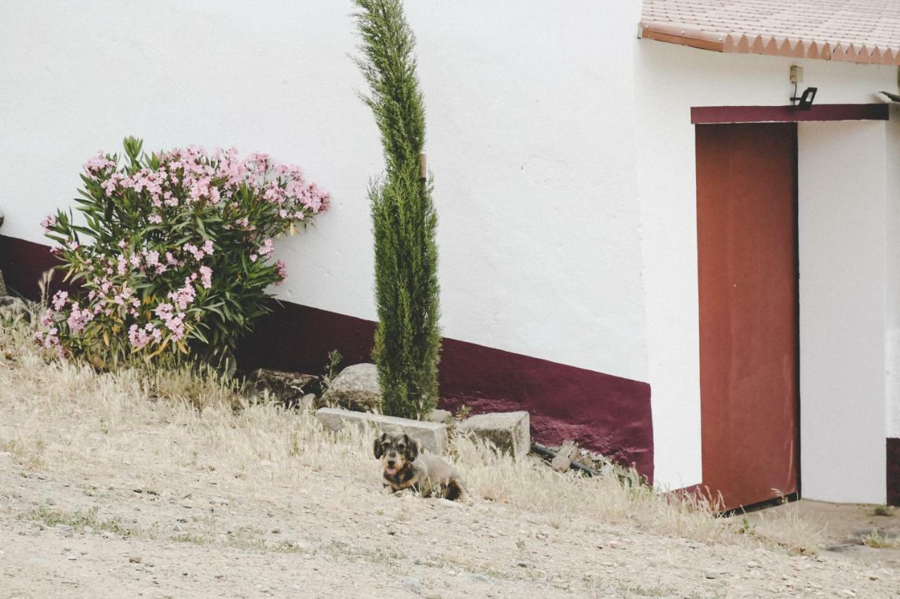 Casas Da Faia - Nature Guest House Arronches Esterno foto
