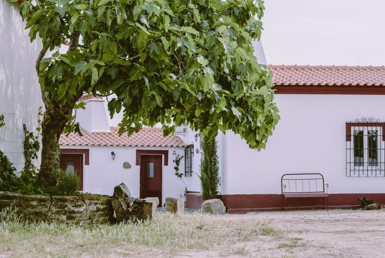 Casas Da Faia - Nature Guest House Arronches Esterno foto