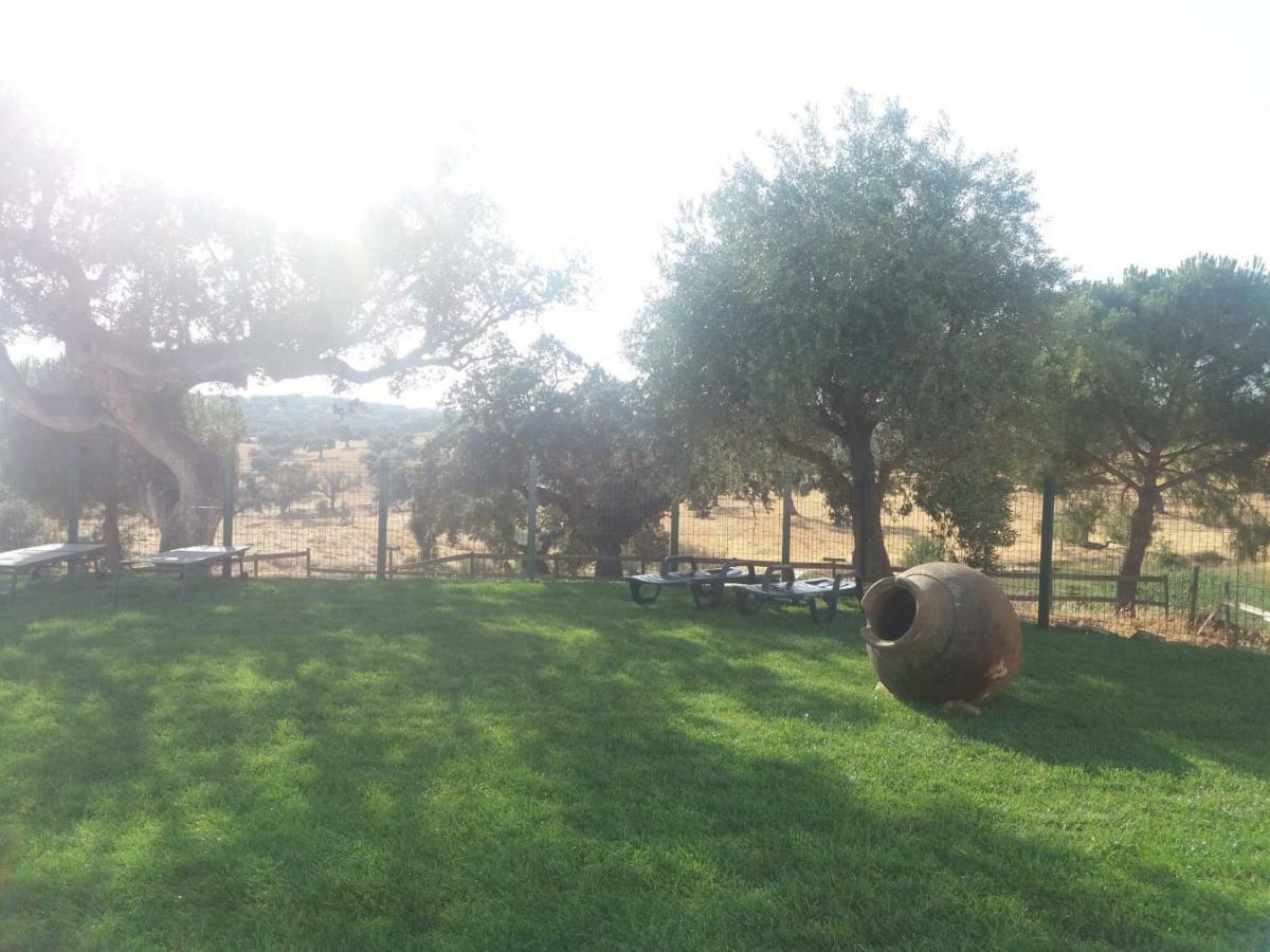 Casas Da Faia - Nature Guest House Arronches Esterno foto